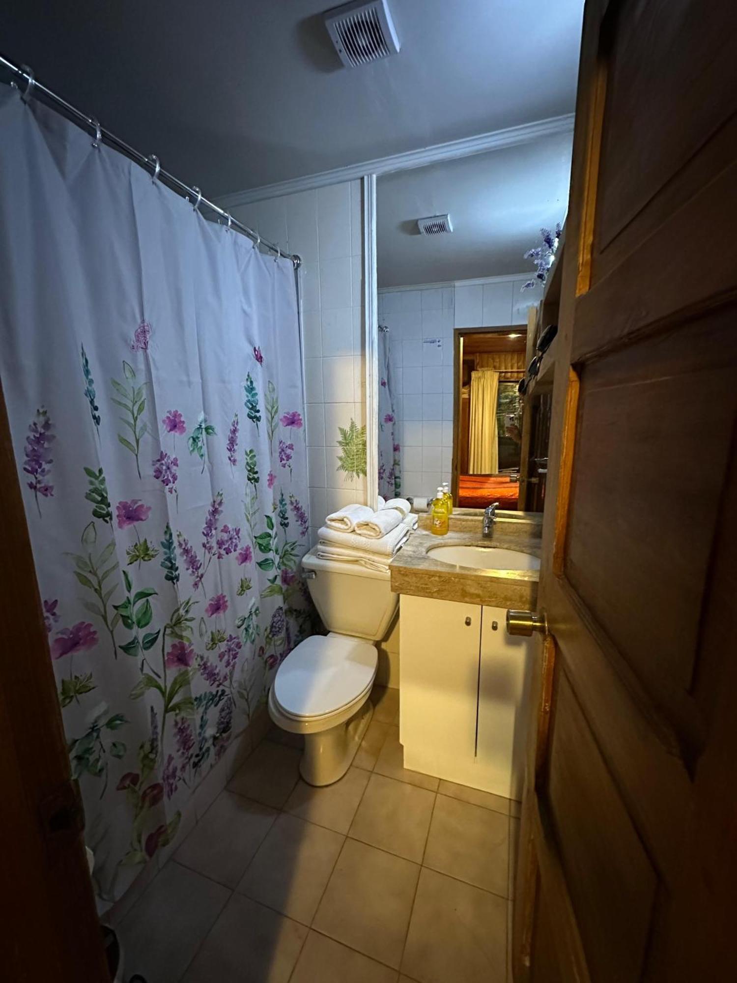 Maitenes Hotel Pucon